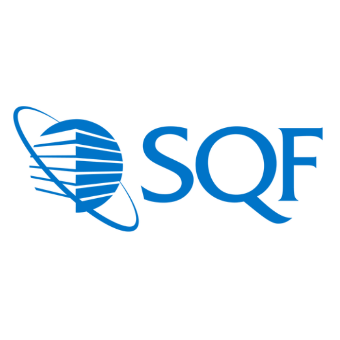 Logo de auditoría 3