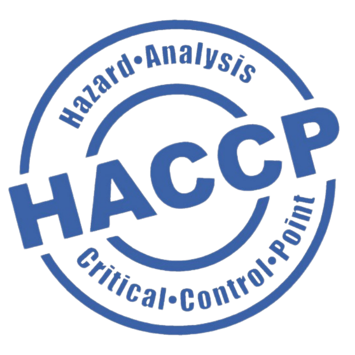 Logo de auditoría 5